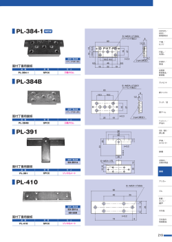 PL-384B PL-410 PL-384-1 PL-391