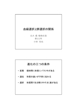 血縁選択と群選択の関係 進化の三つの条件