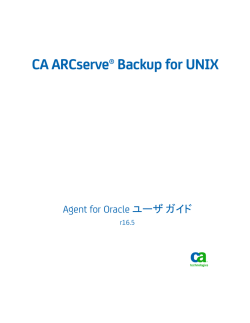 PDF のダウンロード