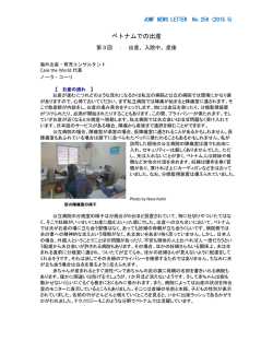 ベトナムでの出産