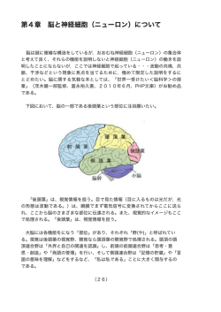 第4章 脳と神経細胞（ニューロン）について