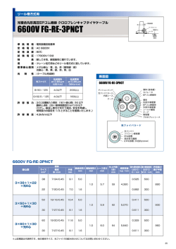 6600V FG-RE