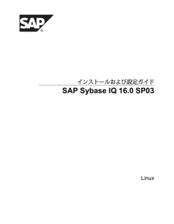 SAP Sybase IQ 16.0 SP03