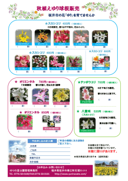 印刷用ダウンロード(PDF 575KB)