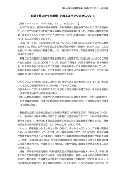 石鎚で見つかった新種 タカネルリクワガタについて