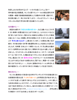 秋深しとなりは何をする人ぞ・・・いかがお過ごしでしょうか？ 青年海外