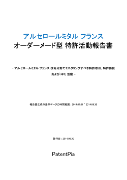 アルセロールミタル フランス オーダーメード型 特許