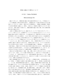 PDF形式