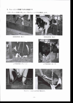 飼槽 ・・・・・ 24