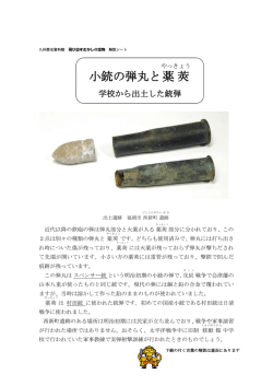 ダウンロード（PDF:333KB）