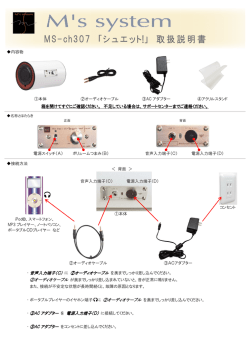 箱を開けてすぐにご確認ください ・ 音声入力端子（C） に