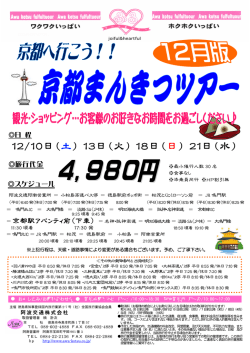 pdf ファイルを見る