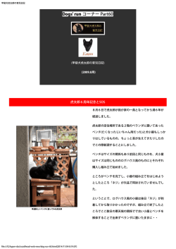 2009 年8月の日記 - Coatl Head