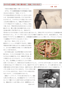 【コラム】山道具、今昔（第5回） 尻皮、ワカンなど ・・・・・・・・・・・・