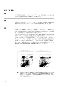 概要 定義 観察 エスケイピー現象