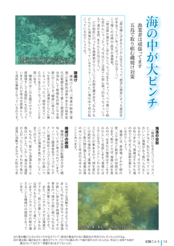海 の 中 が 大 ピ ン チ 海の 中 が 大 ピ ン チ
