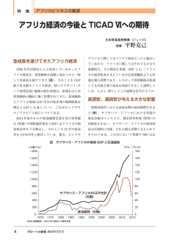 【特集 アフリカビジネスの展望】アフリカ経済の今後とTICAD VIへの期待