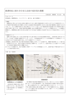 膨潤性粘土層を含む切土法面の変状発生機構