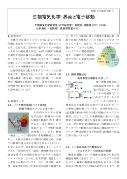 生物電気化学：界面と電子移動