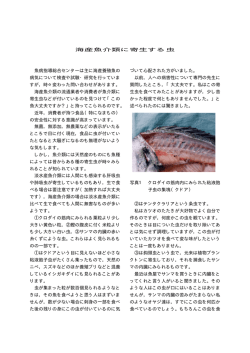 海産魚介類に寄生する虫 魚病指導総合センターは主に海産養殖魚の