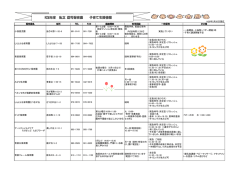 H28年度 私立 認可保育園 子育て支援情報