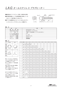 オールステンレスプラグヒーター