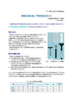 爽快な切れ味、T字型安全カミソリ