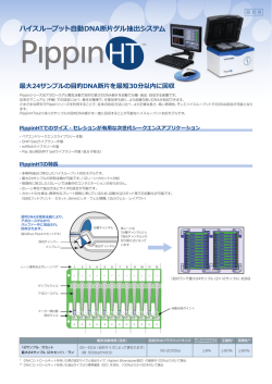 PippinHT/日本語