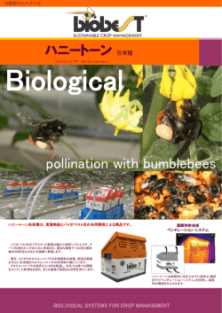 カタログダウンロード