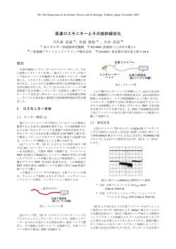 高速ロスモニターとその放射線劣化