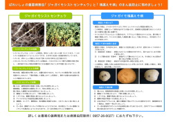 ばれいしょ重要病害虫：シストセンチュウ・塊茎えそ病