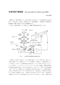 走査型電子顕微鏡 （Scanning Electron Microscope:SEM） 松永和樹