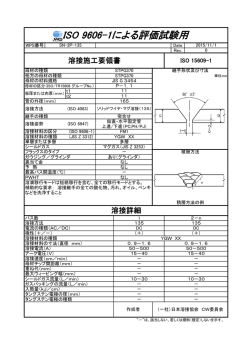 SN-2P-135 - 日本溶接協会（JWES）