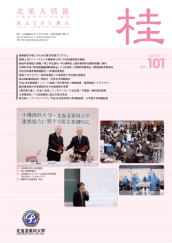 PDF版ダウンロード