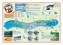 野鳥が観察できる場所紹介