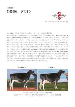 第3回 7H7004 ダミオン