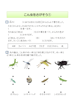 Page 1 こん虫をさがそう① ぎ 1 次の（ ）にあてはまることばを  から