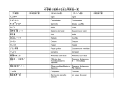 母語・日本語練習 学用品