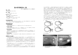 猫の尿管断裂の1例