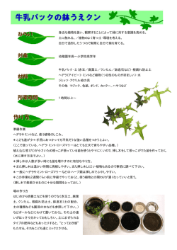 牛乳パックの鉢植えクン