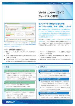 PDF:0.3MB - ベリントシステムズジャパン