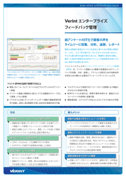 PDF:0.3MB - ベリントシステムズジャパン