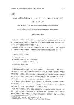 PDF: 928KB