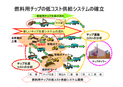 燃料用チップの低コスト供給システムの確立