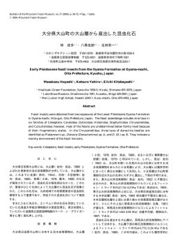 Early Pleistocene fossil insects from the Oyama Formation at Oyama