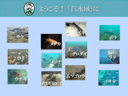 「汽水域」に