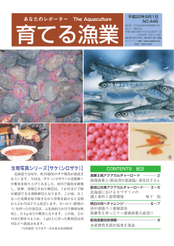 あなたのレポーター The Aquaculture 生物写真シリーズ【サケ（シロザケ）】