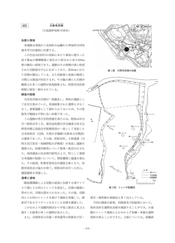 犬田布貝塚 （大島郡伊仙町犬田布） 位置と環境 本遺跡は役場から北西