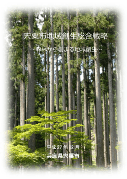 宍粟市地域創生総合戦略（PDF：375.8KB）