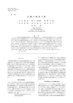 白癬の感染予防 - 日本医真菌学会